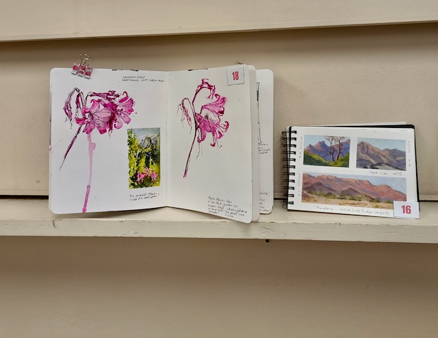 480710310_939371785040386_1859865230723396467_n